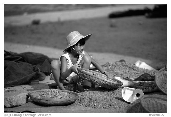 Girl sorting dried shrimp. Ha Tien, Vietnam