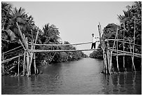 Bamboo bridge (called monkey bridge) near Phung Hiep. Can Tho, Vietnam (black and white)