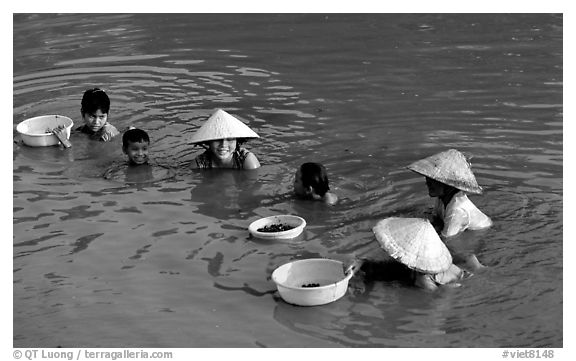 Collecting clams, near Long Xuyen. Mekong Delta, Vietnam (black and white)
