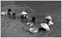 Collecting clams, near Long Xuyen. Mekong Delta, Vietnam ( black and white)