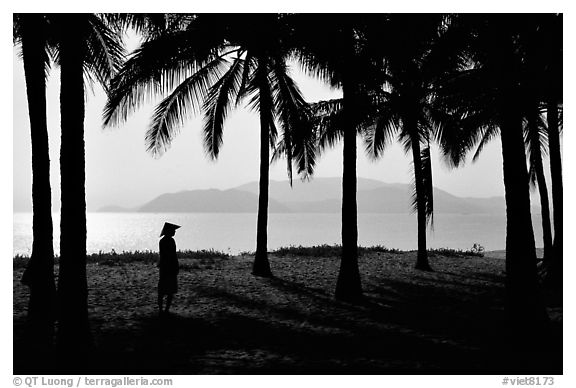 Palm-tree fringed beach, Nha Trang. Vietnam (black and white)