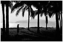 Palm-tree fringed beach, Nha Trang. Vietnam (black and white)