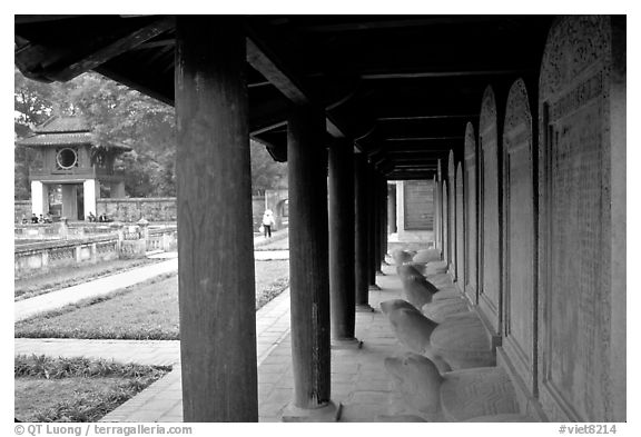 Stone Tablets engraved with laureate mandarin names,  Temple of Literature.. Hanoi, Vietnam