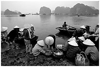 Fresh catch. Halong Bay, Vietnam ( black and white)