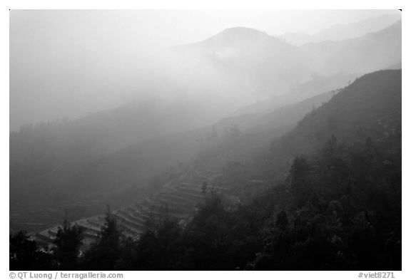 Morning fog on terraced rice fields. Sapa, Vietnam