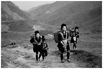 Hmong women returning to their village, which cannot be reached by the road. Sapa, Vietnam (black and white)
