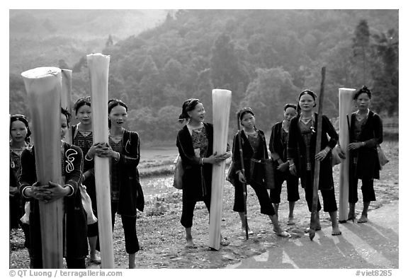 Ethnic minority women carrying banana trunks. Vietnam (black and white)