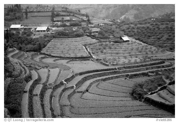 Dry terraced hills and village. Bac Ha, Vietnam (black and white)