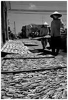 Women carrying a panel of fish being dried. Vung Tau, Vietnam ( black and white)