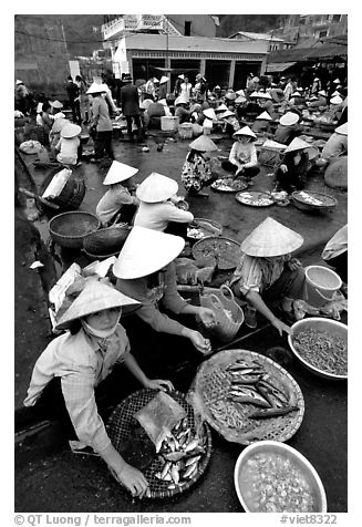 Fish market, Hong Gai. Halong Bay, Vietnam (black and white)