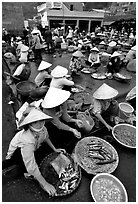 Fish market, Hong Gai. Halong Bay, Vietnam ( black and white)