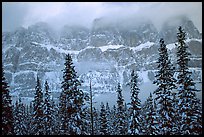 Conifers and steep rock face in winter. Banff National Park, Canadian Rockies, Alberta, Canada (color)