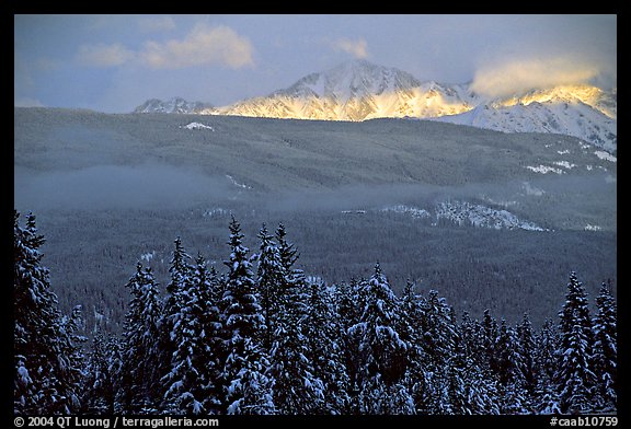 Snowy peaks hit by a ray of sun after a winter storm. Banff National Park, Canadian Rockies, Alberta, Canada