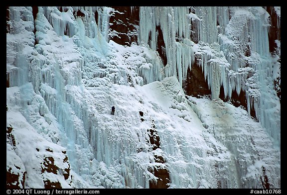 Wide frozen waterfall called Weeping Wall in early season. Banff National Park, Canadian Rockies, Alberta, Canada