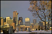 Calgary skyline seen from the cemetery in winter. Calgary, Alberta, Canada (color)