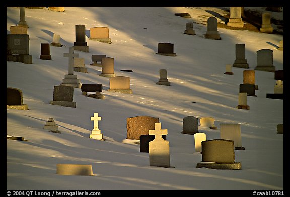 Tombs with crosses in snow. Calgary, Alberta, Canada