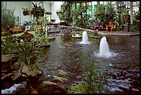 Indoor pond and garden. Calgary, Alberta, Canada (color)