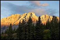 Peaks and conifers near Two Jack Lake, sunrise. Banff National Park, Canadian Rockies, Alberta, Canada ( color)