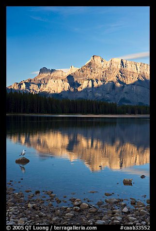Mount Rundle reflected in Two Jack Lake, early morning. Banff National Park, Canadian Rockies, Alberta, Canada (color)