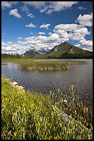 Mt Rundle and second Vermillion lake, afternoon. Banff National Park, Canadian Rockies, Alberta, Canada ( color)