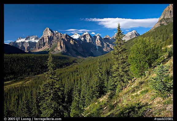 Valley of Ten Peaks, early morning. Banff National Park, Canadian Rockies, Alberta, Canada (color)