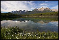 Herbert Lake and the Bow range, morning. Banff National Park, Canadian Rockies, Alberta, Canada ( color)
