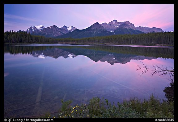 Bow range reflected in Herbert Lake, dawn. Banff National Park, Canadian Rockies, Alberta, Canada
