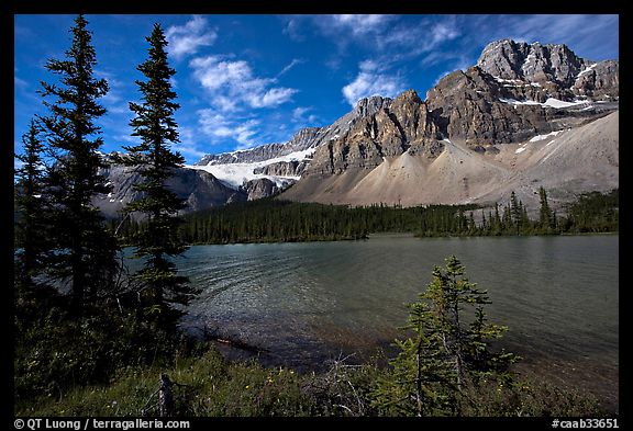 Bow Lake shoreline,  Crowfoot Mountain and Crowfoot Glacier. Banff National Park, Canadian Rockies, Alberta, Canada