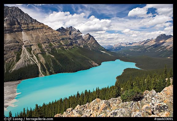Peyto Lake, with waters colored turquoise by glacial sediments, mid-day. Banff National Park, Canadian Rockies, Alberta, Canada