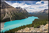Peyto Lake, with waters colored turquoise by glacial sediments, mid-day. Banff National Park, Canadian Rockies, Alberta, Canada (color)