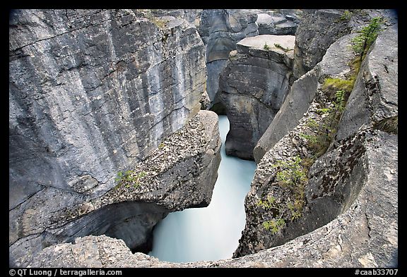 Twenty meter deep gorge carved out of solid limestone rock, Mistaya Canyon. Banff National Park, Canadian Rockies, Alberta, Canada