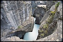 Twenty meter deep gorge carved out of solid limestone rock, Mistaya Canyon. Banff National Park, Canadian Rockies, Alberta, Canada (color)