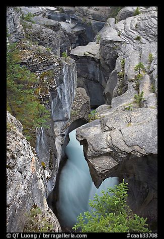 Limestone rock carved by river, Mistaya Canyon. Banff National Park, Canadian Rockies, Alberta, Canada (color)