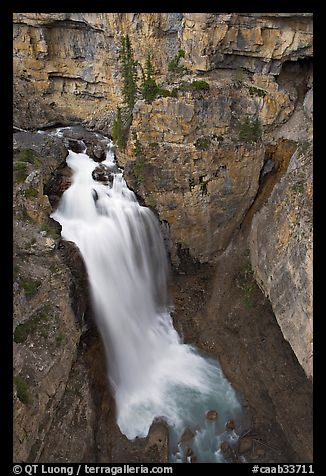 Waterfall of Nigel Creek. Banff National Park, Canadian Rockies, Alberta, Canada