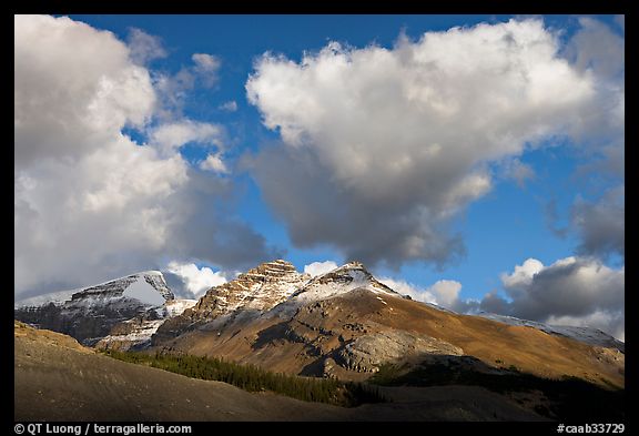 Peak and cloud near the Columbia Icefield,  early morning. Jasper National Park, Canadian Rockies, Alberta, Canada (color)