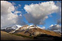 Peak and cloud near the Columbia Icefield,  early morning. Jasper National Park, Canadian Rockies, Alberta, Canada ( color)