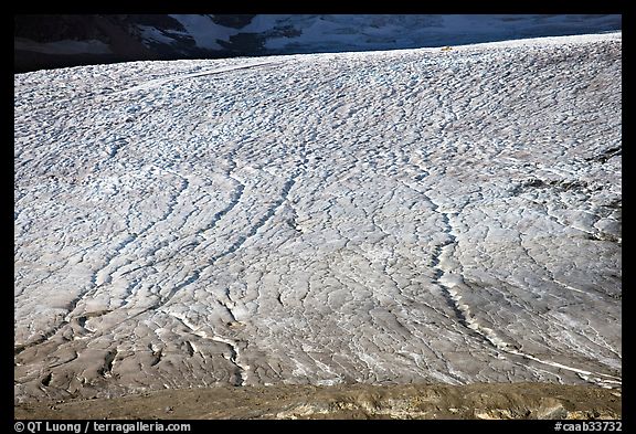 Crevasse patters on Athabasca Glacier. Jasper National Park, Canadian Rockies, Alberta, Canada