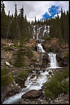 Multi-tiered Tangle Falls. Jasper National Park, Canadian Rockies, Alberta, Canada