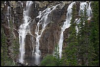 Tangle Falls and trees. Jasper National Park, Canadian Rockies, Alberta, Canada (color)