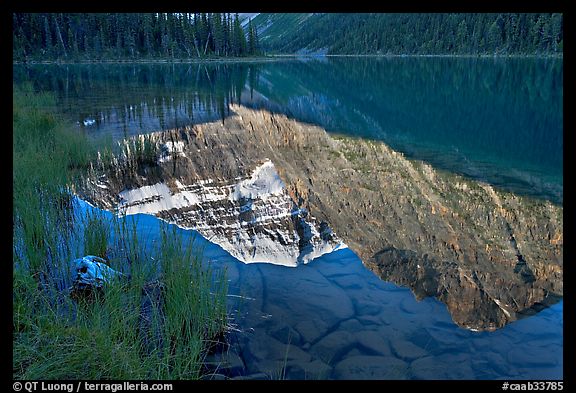 Reflections in Cavell Lake, early morning. Jasper National Park, Canadian Rockies, Alberta, Canada (color)