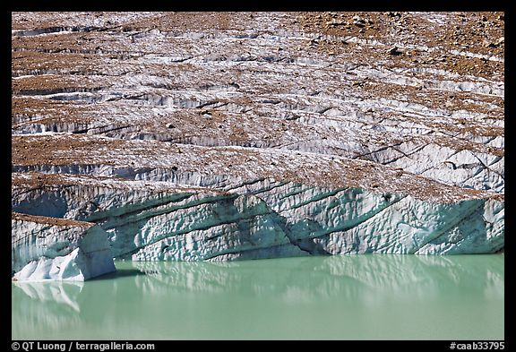 Cavell Glacier calving into a glacial lake. Jasper National Park, Canadian Rockies, Alberta, Canada