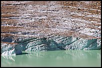 Cavell Glacier calving into a glacial lake. Jasper National Park, Canadian Rockies, Alberta, Canada (color)