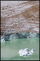 Iceberg, Cavell Pond, and Cavell Glacier. Jasper National Park, Canadian Rockies, Alberta, Canada ( color)