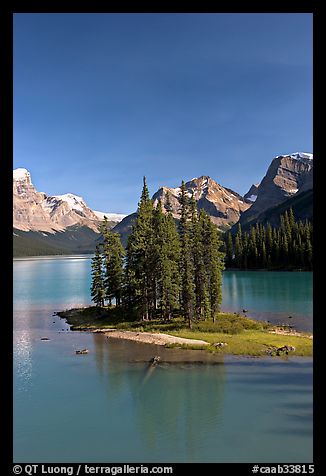 Evergreens on Spirit Island, Maligne Lake, afternoon. Jasper National Park, Canadian Rockies, Alberta, Canada (color)