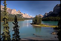 Tiny island with evergreens on  Maligne Lake, afternoon. Jasper National Park, Canadian Rockies, Alberta, Canada ( color)