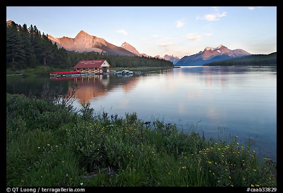 Wildflowers, Maligne Lake and boathouse, sunset. Jasper National Park, Canadian Rockies, Alberta, Canada (color)