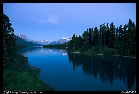 Maligne River outlet, row of evergreens, and  Maligne River, blue dusk. Jasper National Park, Canadian Rockies, Alberta, Canada (color)