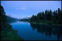 Maligne River outlet, row of evergreens, and  Maligne River, blue dusk. Jasper National Park, Canadian Rockies, Alberta, Canada