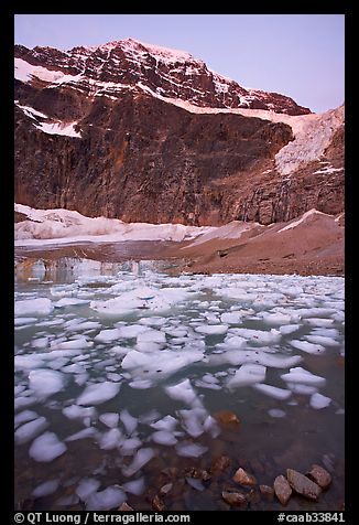 Cavell Pond, with the face of Mt Edith Cavell looming above, sunrise. Jasper National Park, Canadian Rockies, Alberta, Canada (color)