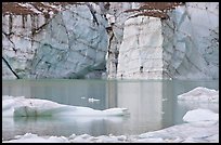 Wall of ice and Cavell Pond,. Jasper National Park, Canadian Rockies, Alberta, Canada (color)